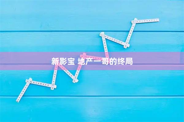新影宝 地产一哥的终局