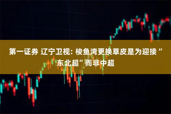 第一证券 辽宁卫视: 梭鱼湾更换草皮是为迎接“东北超”而非中超